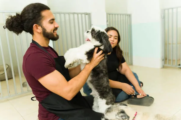 Hospedagem para cachorro em Moema